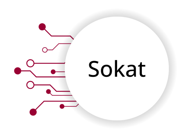 detectgpt - AI detector (sokat) : détecteur chat gpt
