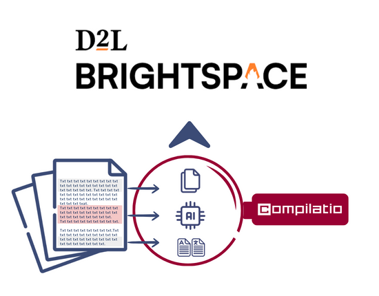 Plagiarism and chatgpt detection in Brightspace
