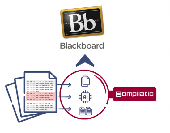 Plagiarism and chatgpt detection in Blackboard