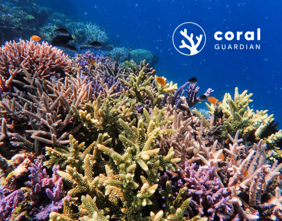 Logotipo Coral Guardian