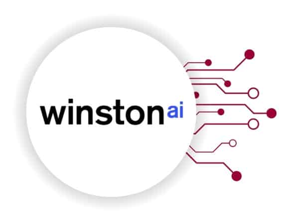 winston ai essay checker
