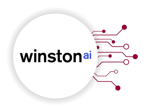 winston rilevatore ai