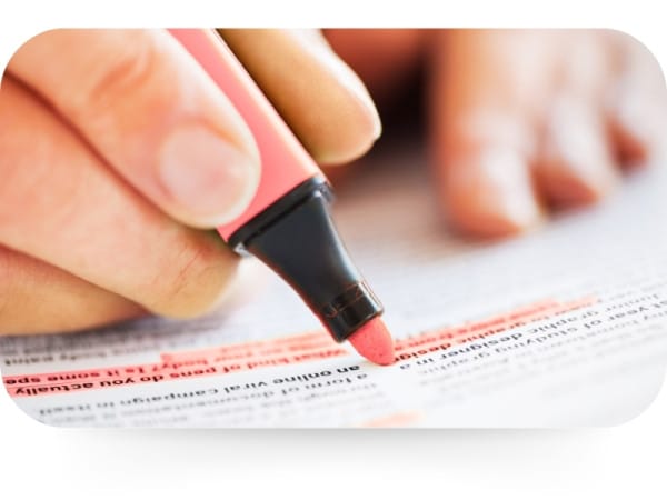 définition plagiat intégral