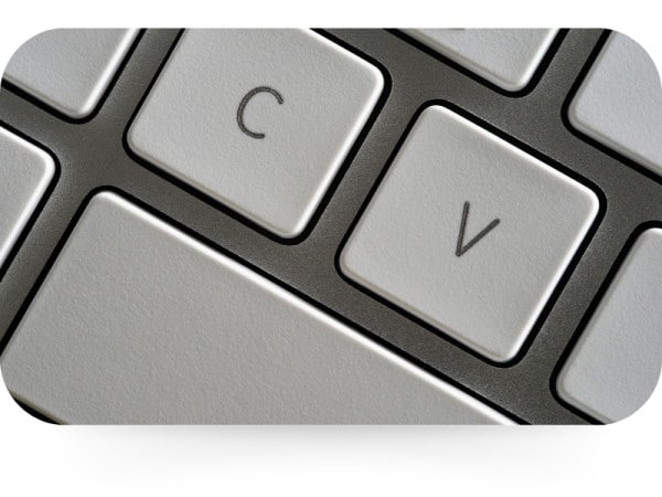 types plagiat