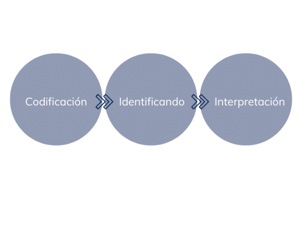pasos investigación cualitativa