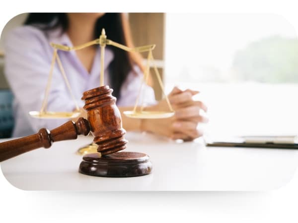 plagiat intégral droit auteur