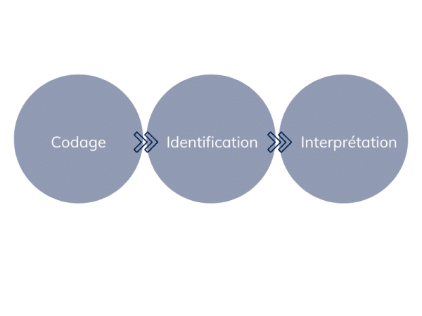analyse qualitative étapes